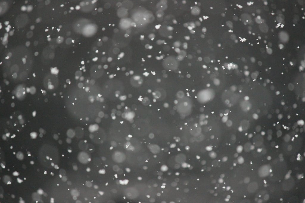 Nieve como símbolo de la caspa