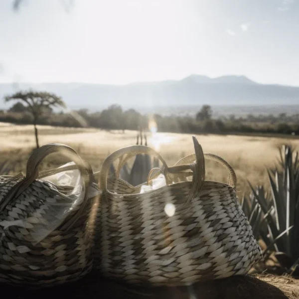 adaptacion al cambio climatico