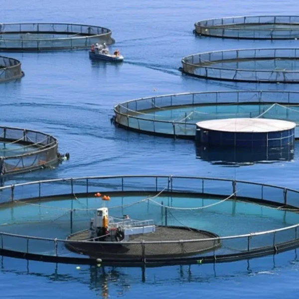 acuicultura