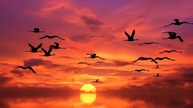 Cuando Migran las Garzas: Un Fenómeno Natural Impresionante
