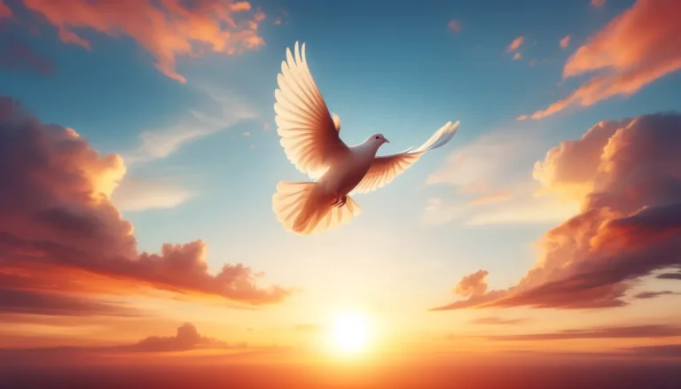 simbolismo de paz y tránsito en la legalización de la eutanasia