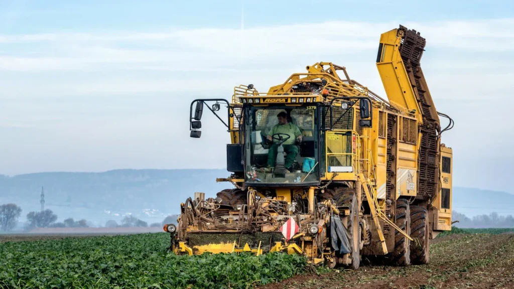 Agricultura en Nueva Zelanda