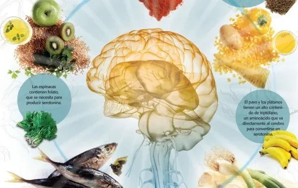 Alimentos para la salud de tu cerebe
